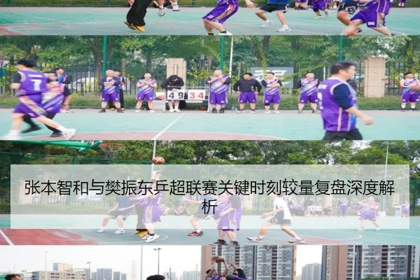 张本智和与樊振东乒超联赛关键时刻较量复盘深度解析